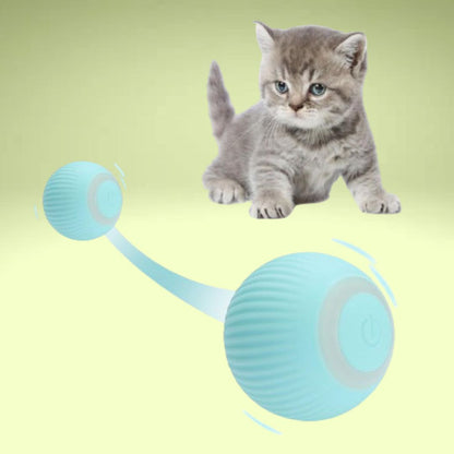 Electronic Interactive Cat Toy